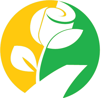 grafverzorging 4 + Bloemen